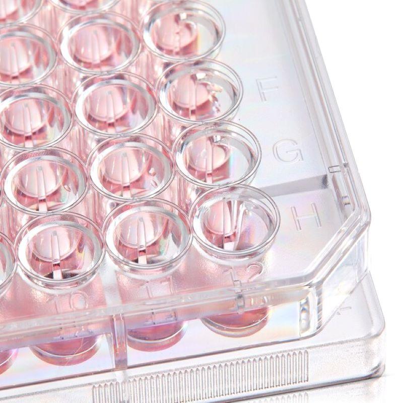 ПЛАНШЕТ КУЛЬТУРАЛЬНИЙ BIOLITE 24-ЛУНКОВИЙ ПЛАСКОДОННИЙ З ПОВЕРХНЕЮ РОСТУ 1.9 СМ² СТЕРИЛЬНИЙ З КРИШКОЮ